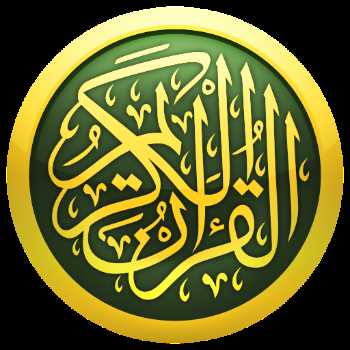 نویسنده: ریحانه حاجی
